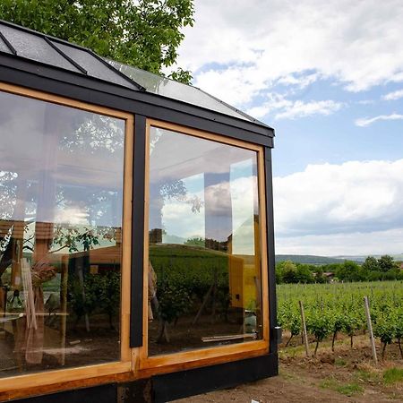 Tiny House In The Vineyard By Gramofon Wine Hotel Iordachianu Exterior photo